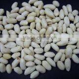 We Are Supply Peanut,blanched Peanut Kernels in Long Shape