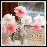 2016 Hot New Products Backpack Flag Bannerl Paper Pompom