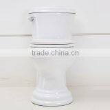 CUPC One Piece Toilet thumbnail-3