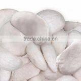 Freeze Dried Mangosteen 20 g Pack From Thailand thumbnail-2