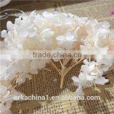 Preserved Flower Hydrangea Flower thumbnail-2