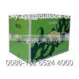 PP Fruit and Vegertable Packaging Box Carton