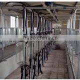 Middle-set Type Milking Hall thumbnail-1