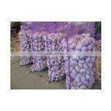 Indian Fresh Garlic thumbnail-1