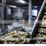 Fresh Potatoes thumbnail-2