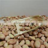 High Quality Yellow Broad Beans / Faba Beans / Fava Beans for Canning Food thumbnail-5
