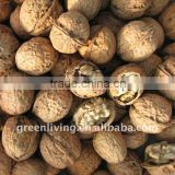 walnuts in shell or kernel cheap price from china