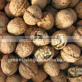 Walnuts in Shell or Kernel Cheap Price From China