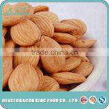 Raw Bulk Sweet Apricot Seeds Type in Apricot Kernel, Apricot Seeds Using for Nuts, Cake, Chocolate Food Companies thumbnail-2