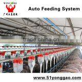 Automatic Feeding System for Fattening Pig Feeder