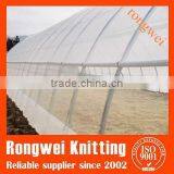 HDPE Greenhouses Anti Insect Net Plastic Net