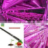 VANQLED LED Plant Grow Rigid Strip Lights With Plug Transformer Driver for Leafy Growth,Red Blue Grow Lamp Light thumbnail-5