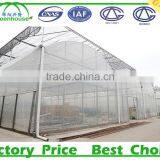 Film Cover Material and Multi-Span Agricultural Commercial Greenhouses thumbnail-1