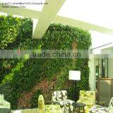 Q113001 Wedding Decoration Green Wall China Manufacturer Artificial Flower Wall thumbnail-3