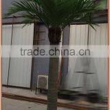 fiberglass custom coconut palm tree make for export sale