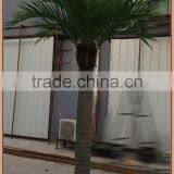 Fiberglass Custom Coconut Palm Tree Make for Export Sale thumbnail-1