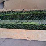 Artificial Plastic Coconut Palm Leaves thumbnail-3