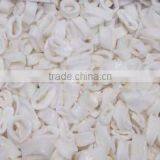 Squid Rings thumbnail-3