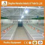 Hot Sale in China Poultry Farming Equipmentl -flooring Feed Pan and Drinking Nipple thumbnail-3