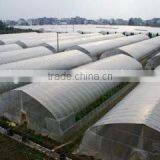 Agricultural Film Covering Vegetable Greenhouse thumbnail-2