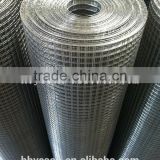 1/2''*1/2''galvanized welded mesh