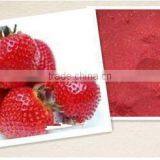 Iinstant Fruit Jus Flavoured Drink Powder Factory thumbnail-5