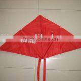 Easy Flying Delta Kites thumbnail-1