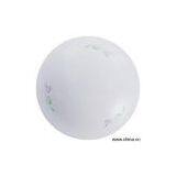 Sell Ceiling Lamp thumbnail-1