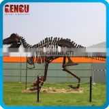 Playground Display High Emulation Dinosaur Skeleton Model