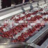 cranberry apricot pomegranate carrot washer fruit washing equipment bubble washing machine