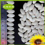 Pumpkin Seeds Shine Skin thumbnail-3