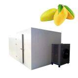 Industrial Food Dryer