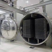 FD2000 2000kgs Industrial large food freeze dryer machine production scale