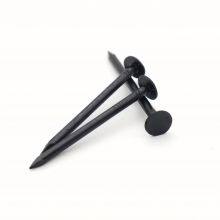 Black Common Nails China Manufacturer - Ideal for Roofing and Exterior Woodwork thumbnail-4