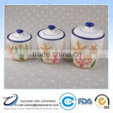 hand painting colour 3Pcs ceramic canister set sea style