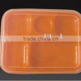 Plastic School Lunch Box