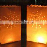 High Standard Best Sale Special Halloween Luminary Bags thumbnail-1