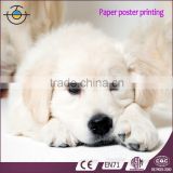 Poster Printing In Hign Resolution With Full Color At Cheap Price Made In China                        
                                                Quality Choice