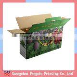 Custom Printed Apple Fruit Corrugated Packaging Shipping Boxes