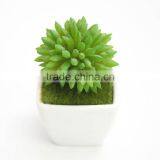 China Factory Best Price Mini Plants thumbnail-3