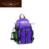 Cheap Polyester Backpack Top Quality Backpack