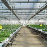 Polycarbonate PC Sheet Multi-span Greenhouse thumbnail-3