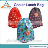 Bicycle Cooler Lunch Bag/water Bottle Cooler Bag