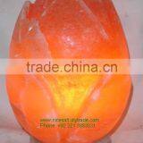 HIMALAYAN FLOOR FLOWER SALT LAMP