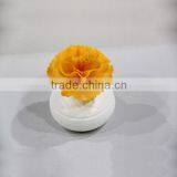 Scents of Colorsea 130ml Ceramic Flower Oil Diffuser thumbnail-1