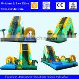 China Henan Inflatable Slide, Giant Inflatable Water Park Slide thumbnail-4