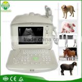 FM-9003P Portable veterinary ultrasound equipment