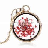 Beautiful Real Flower Necklace for Women Gold Chain Glass Bottle Wishing Pendant Plant Specimens Fancy Necklace thumbnail-1