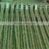 Coir Mat thumbnail-3