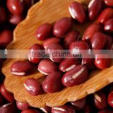 The largest supplier of red kidney beans in China